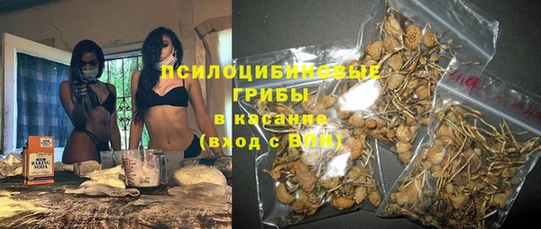 ПСИЛОЦИБИНОВЫЕ ГРИБЫ Алексеевка